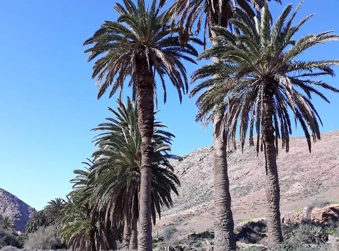 La Pradera *